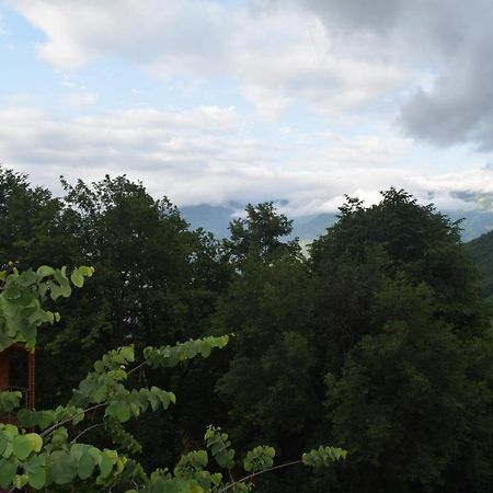 Mars Otel Artvin Esterno foto