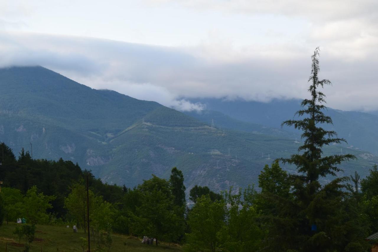 Mars Otel Artvin Esterno foto