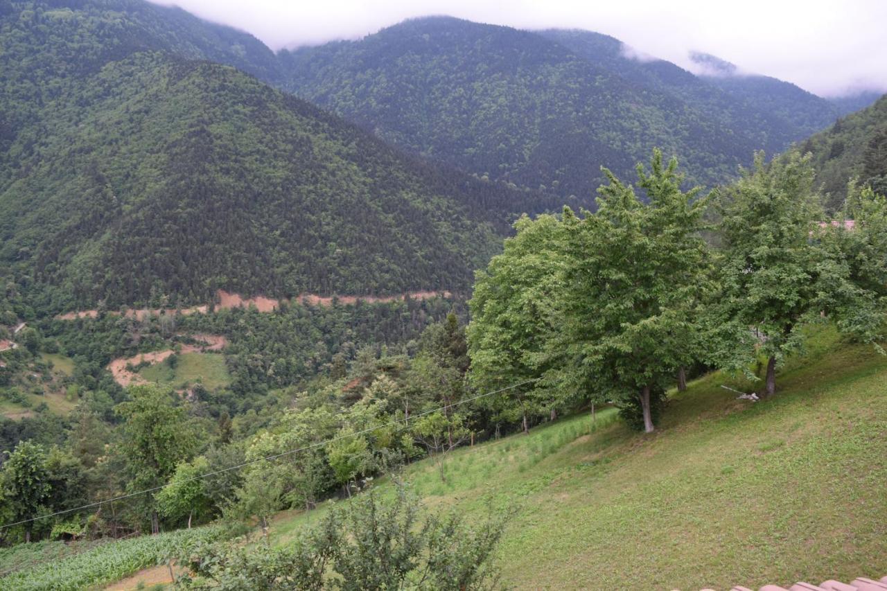 Mars Otel Artvin Esterno foto