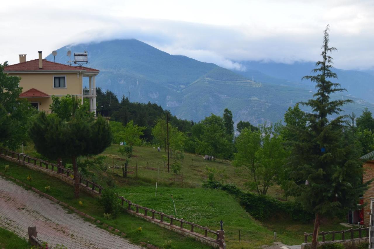 Mars Otel Artvin Esterno foto
