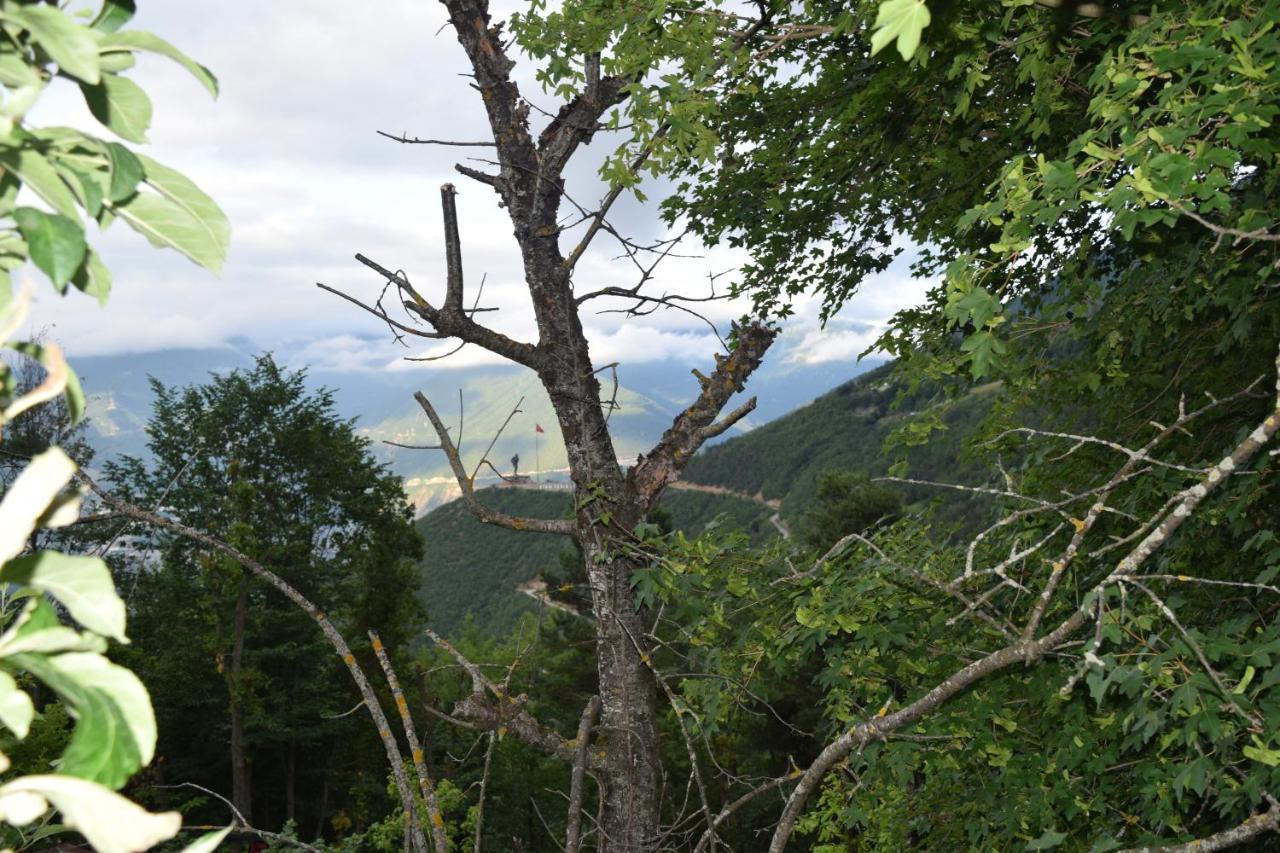 Mars Otel Artvin Esterno foto
