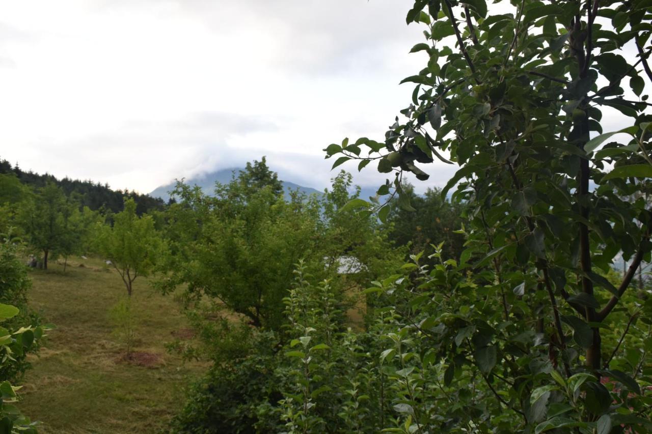 Mars Otel Artvin Esterno foto
