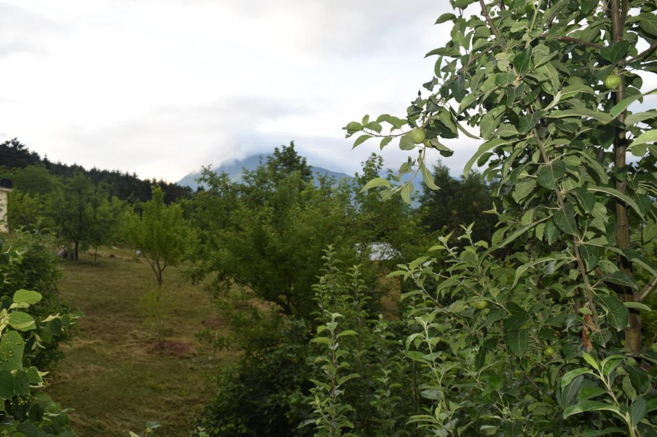 Mars Otel Artvin Esterno foto