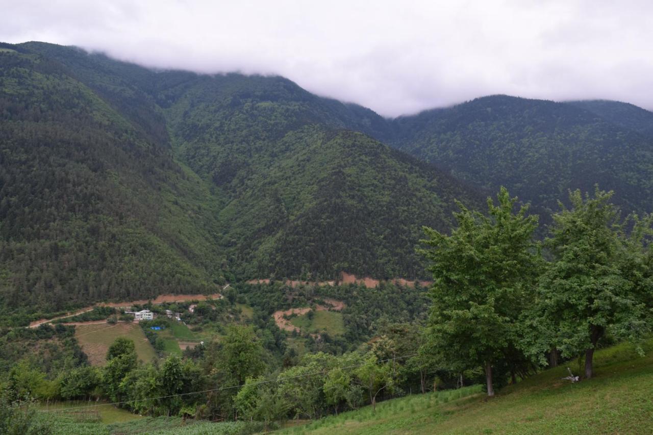 Mars Otel Artvin Esterno foto