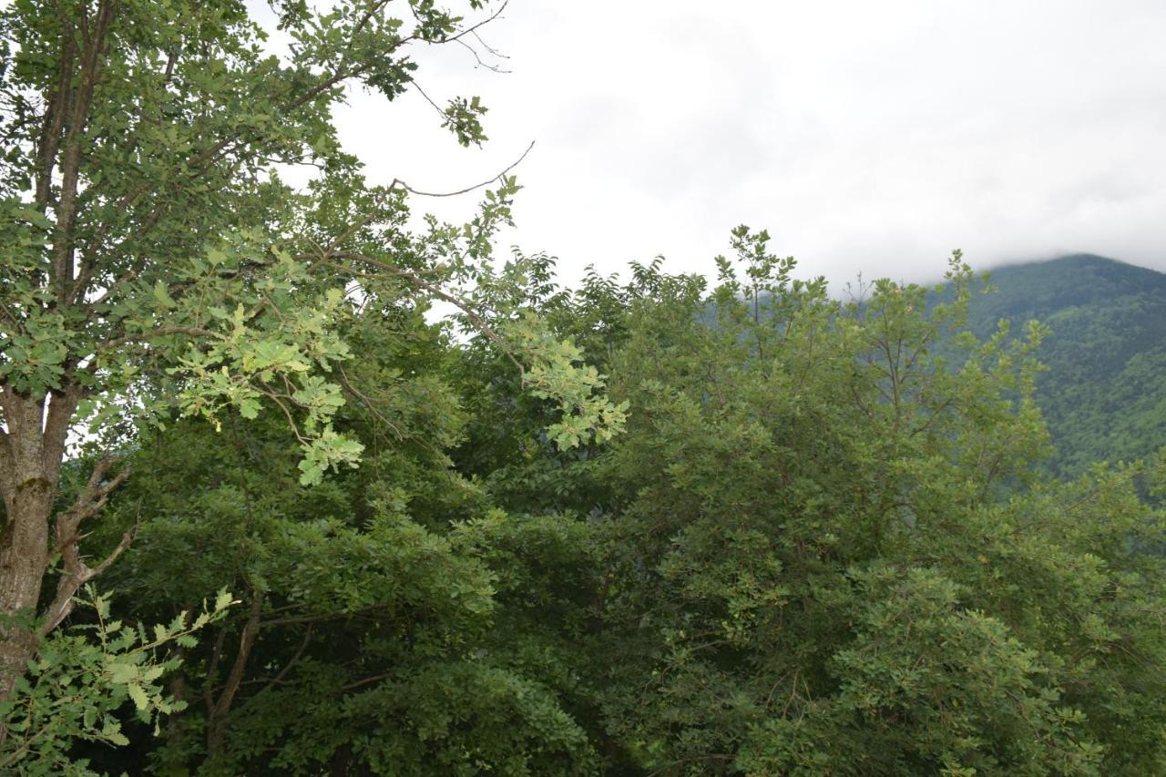 Mars Otel Artvin Esterno foto