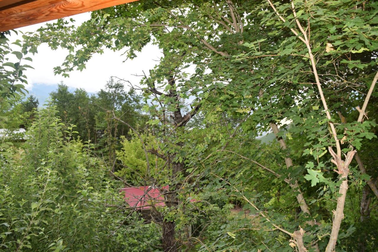 Mars Otel Artvin Esterno foto